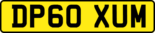 DP60XUM