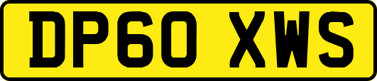 DP60XWS