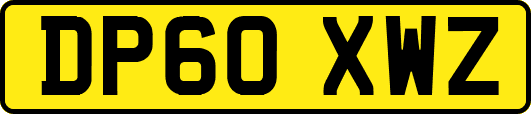 DP60XWZ