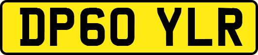 DP60YLR