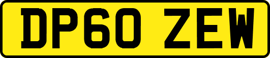DP60ZEW