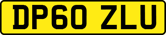 DP60ZLU