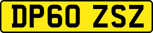 DP60ZSZ