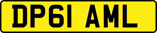 DP61AML