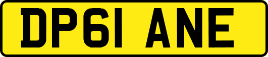 DP61ANE