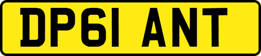 DP61ANT