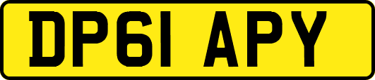 DP61APY