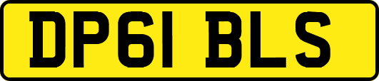 DP61BLS