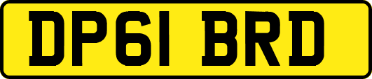 DP61BRD