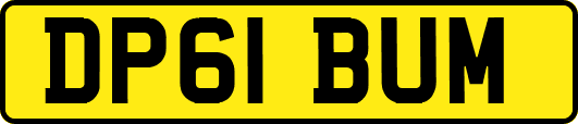 DP61BUM