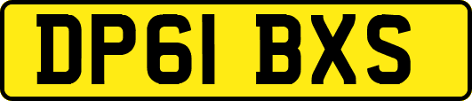 DP61BXS