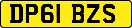DP61BZS