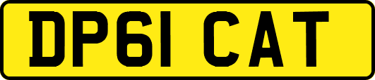 DP61CAT
