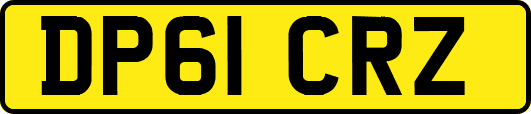 DP61CRZ