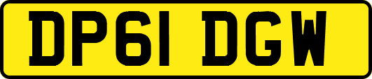 DP61DGW