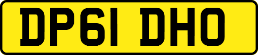 DP61DHO
