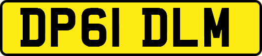 DP61DLM