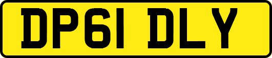 DP61DLY