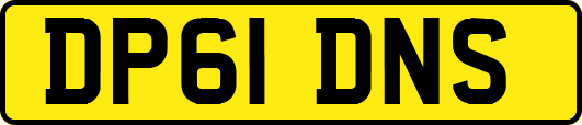 DP61DNS