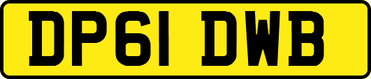 DP61DWB