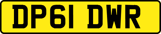 DP61DWR