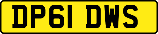 DP61DWS