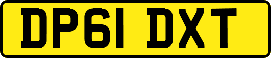 DP61DXT