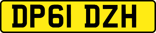 DP61DZH