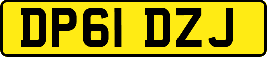 DP61DZJ