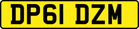 DP61DZM