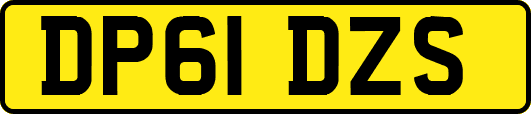 DP61DZS