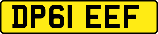 DP61EEF