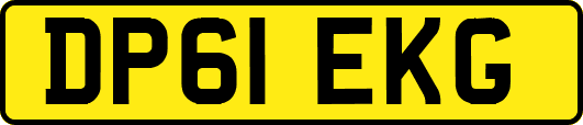 DP61EKG