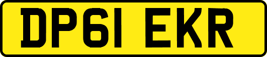 DP61EKR