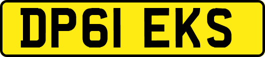 DP61EKS