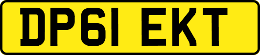 DP61EKT