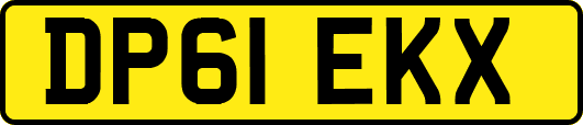 DP61EKX