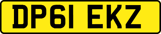 DP61EKZ