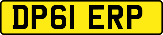 DP61ERP