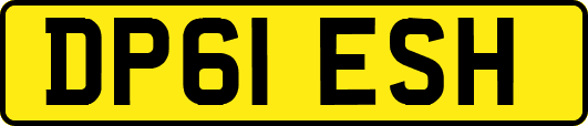 DP61ESH