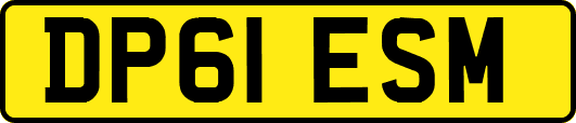 DP61ESM