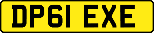 DP61EXE