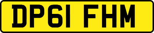 DP61FHM