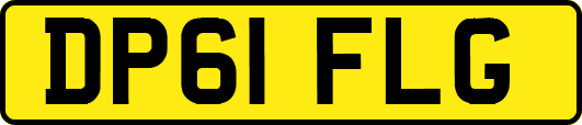 DP61FLG