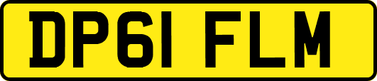 DP61FLM