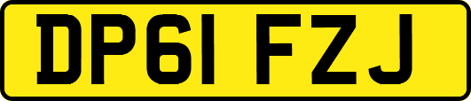 DP61FZJ