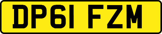DP61FZM