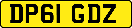 DP61GDZ