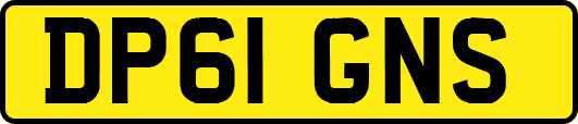 DP61GNS