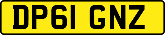 DP61GNZ